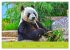Der Große Panda Ein kuscheliger... - Bild 2