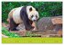 Der Große Panda Ein kuscheliger... - Bild 3