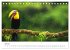 Costa Rica - exotische Tierwelt und... - Bild 13
