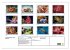 Farbenpracht unter Wasser (Wandkalender... - Bild 6