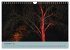Leuchtfarben (Wandkalender 2026 DIN A4... - Bild 5