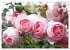 Romantische Rosenträume (Wandkalender... - Bild 14