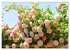 Romantische Rosenträume (Wandkalender... - Bild 5