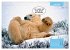 Lustige Eisbären (hochwertiger Premium... - Bild 12
