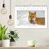 Der Rotfuchs (Wandkalender 2026 DIN A4... - Bild 2