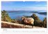 Kroatiens Inselzauber, Cres... - Bild 12