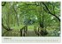 Schwabstedt an der Treene (hochwertiger... - Bild 2