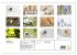 Geliebtes Rotkehlchen (Wandkalender... - Bild 6