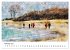 Aquarell Illustrationen vom Darß... - Bild 8