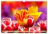 Tulpen. Zauberhafte Blütenpracht... - Bild 14