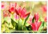 Tulpen. Zauberhafte Blütenpracht... - Bild 7