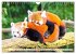Roter Panda. Die superknuddeligen... - Bild 10