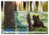 Die Uckermark - Eine Reise durch die... - Bild 10