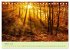 Harz Natur pur und Weltkulturerbe... - Bild 3