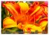 Blumenpracht der Welt (Wandkalender... - Bild 11