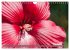 Blumenpracht der Welt (Wandkalender... - Bild 13