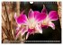 Blumenpracht der Welt (Wandkalender... - Bild 15