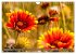 Blumenpracht der Welt (Wandkalender... - Bild 4