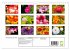 Blumenpracht der Welt (Wandkalender... - Bild 6