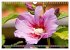Blumenpracht der Welt (Wandkalender... - Bild 9