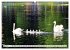 Oranienburg - Kleinod an der Havel... - Bild 12