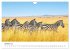 Safari durch Afrika (Wandkalender 2026... - Bild 3