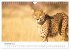 Safari durch Afrika (Wandkalender 2026... - Bild 5