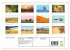 Safari durch Afrika (Wandkalender 2026... - Bild 6