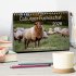 Coburger Fuchsschaf (Tischkalender 2026... - Bild 2