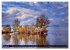 Steinhuder Meer - Steinhude... - Bild 7