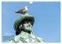 Möwen frech und witzig (Wandkalender... - Bild 9