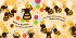 Busy Bees - Bild 3