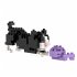 BRIXIES 200323 - Spielende Katze, 3D... - Bild 3