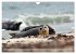 Schöne Insel Helgoland (Wandkalender... - Bild 13