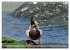 Schöne Insel Helgoland (Wandkalender... - Bild 14