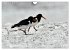 Schöne Insel Helgoland (Wandkalender... - Bild 3
