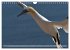 Schöne Insel Helgoland (Wandkalender... - Bild 5