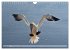 Schöne Insel Helgoland (Wandkalender... - Bild 7
