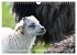 Schöne Insel Helgoland (Wandkalender... - Bild 10