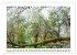 Insel der Sehnsucht - La Gomera... - Bild 3
