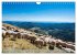 Nationalpark Schwarzwald -... - Bild 13