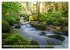 Nationalpark Schwarzwald -... - Bild 4