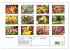 Im Tulpengarten (Wandkalender 2026 DIN... - Bild 6