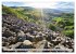 Rhön - Basalt (Wandkalender 2026 DIN... - Bild 13