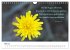 Lebensweisheiten 2026 (Wandkalender... - Bild 11