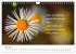 Lebensweisheiten 2026 (Wandkalender... - Bild 12
