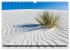 WHITE SANDS Die weiße Wüste in New... - Bild 12