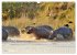 Faszination Afrika: Flusspferde... - Bild 11