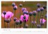 Fotogalerie Fotogalerie