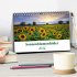 Sonnenblumenfelder (Tischkalender 2026... - Bild 2